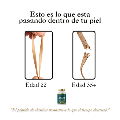 Elasture | Fórmula Reafirmante con Péptidos de Elastina